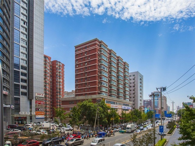 黄浦区卡通文化衫直销价格